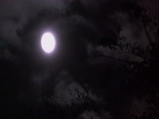 国产午夜亚洲精品AⅤ